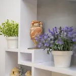 Apartment Palada